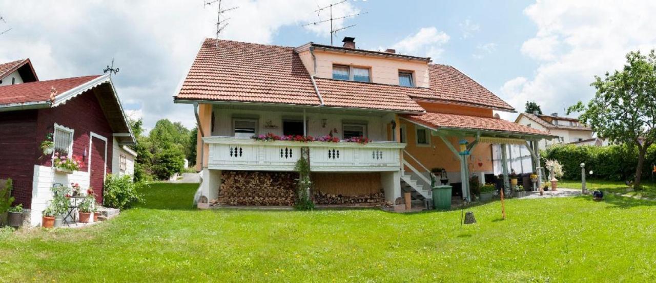 Ferienwohnung Winterstetter Am Waldglasgarten Sankt Oswald-Riedlhuette Esterno foto